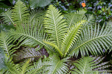 Seoul, South Korea - November 23 2022 