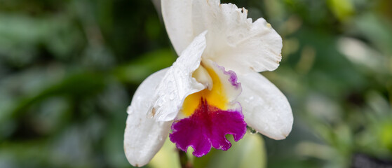 Seoul, South Korea - November 23 2022 