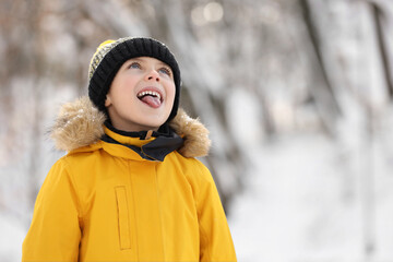 Cute little boy having fun in snowy park on winter day, space for text