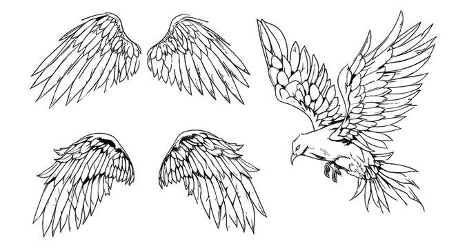 wing illustration vector set, golden wings graphic element, black thin line art, angelic feathered vector, bird wing 