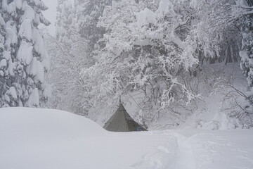 雪深い森の中のホットテント