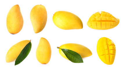 Fresh mango fruits and green leaves isolated on white, set