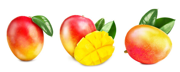 Fresh mango fruits and green leaves isolated on white, set