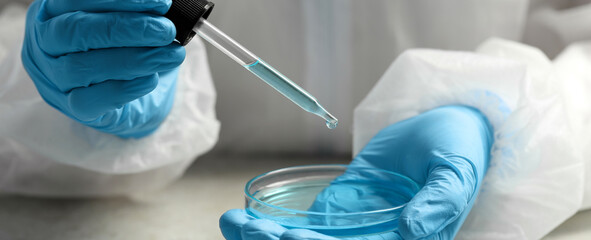 Laboratory analysis. Scientist dripping liquid from pipette into Petri dish at table, closeup....