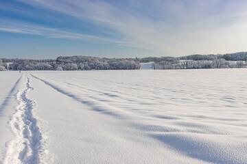 Fototapeta na wymiar Alsace, a magical region under the snow