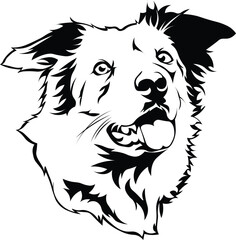 Cartoon Black and White Isolated Illustration Vector Of A Pet Border Collie Puppy Dogs Face and Head