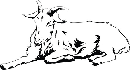 Cartoon Black and White Isolated Illustration Vector Of A Horned Billy Goat Laying Down