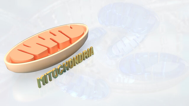 The Mitochondria for sci or health concept 3d rendering..