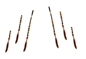 Fairy tale animal tails made of fabric on isolated transparent background