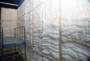 Insulation of walls with foam, energy and heat saving of walls, worker treats walls with foam