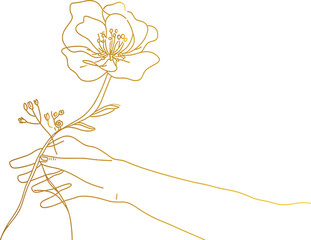 flower in a hand, vector line art, valentine concept illustration, rose, romantic botanical vector, symbolic rose illustration