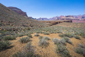 hiking the tonto trail in the grand canyon national park, arizona, usa