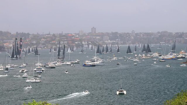 Flotilla of boats and yachts waiting start of Sydney Hobart yacht race on Harbour 4k.
