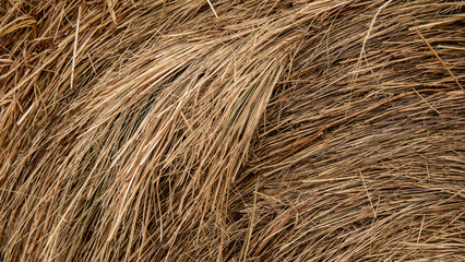texture of straw
