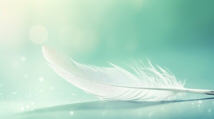 white feather isolated on mint background