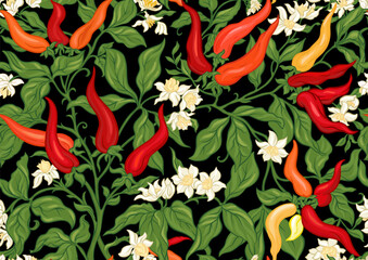 Hot chilly pepper plant with fruits and flowers Seamless pattern, background. Vector illustration. In art nouveau style, vintage, old, retro style. - obrazy, fototapety, plakaty