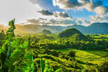 Vinales, Cuba - July 11 2018 : A view of the valley of Viales. Tropical and almost a rain forest. Located within a national park with the same name. - obrazy, fototapety, plakaty