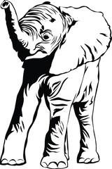 Cartoon Black and White Isolated Illustration Vector Of A Baby Elephant