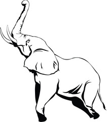 Obraz premium Cartoon Black and White Isolated Illustration Vector Of A Large Horned Elephant