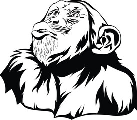 Cartoon Black and White Isolated Illustration Vector Of A Chimp Monkeys Face and Head