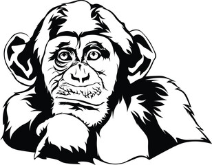 Cartoon Black and White Isolated Illustration Vector Of A Chimp Monkeys Face and Head