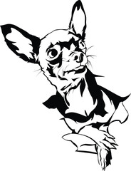 Cartoon Black and White Isolated Illustration Vector Of A Pet Chihuahua Puppy Dog Sitting Down
