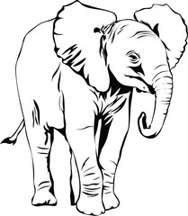 Cartoon Black and White Isolated Illustration Vector Of An Elephant