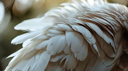 Zelfklevend Fotobehang Macro white bird wing © BraveSpirit