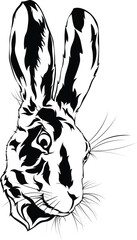 Cartoon Black and White Isolated Illustration Vector Of A Bunny Rabbit Hares Head Face and Ears