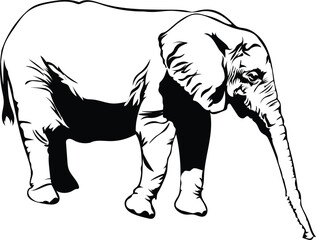 Cartoon Black and White Isolated Illustration Vector Of A Large Elephant