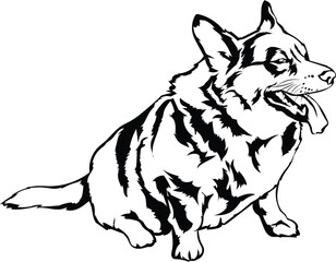 Cartoon Black and White Isolated Illustration Vector Of A Pet Corgi Puppy Dog Sitting Down