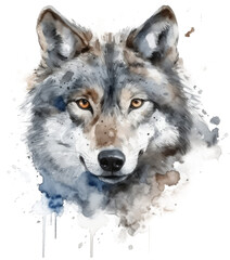 Watercolor png portrait of animal wolf