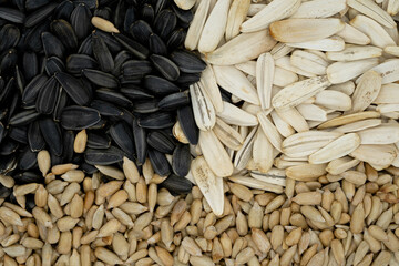 black and white sunflower seeds and peeled sunflower seeds view from above