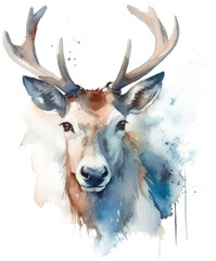 Watercolor png portrait of animal deer buck