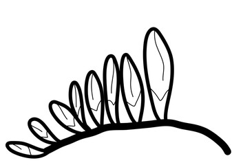 Black and White Tropical Beauty: Freesia Leaf Vector in Hand-Drawn Style