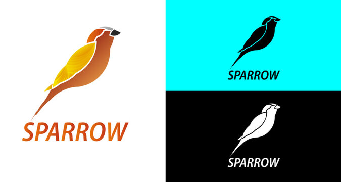 illustration of a feather, Sparrow logo