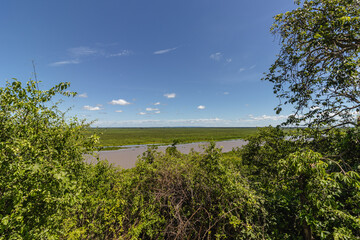 Fototapeta na wymiar paisagem natural na cidade de Corumbá, região do Pantanal Sul, Estado do Mato Grosso do Sul, Brasil
