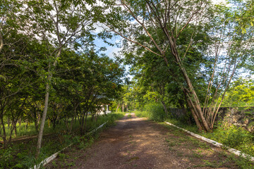 estrada na cidade de Corumbá, região do Pantanal Sul, Estado do Mato Grosso do Sul, Brasil