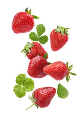 Fresh ripe strawberries and green leaves falling on white background