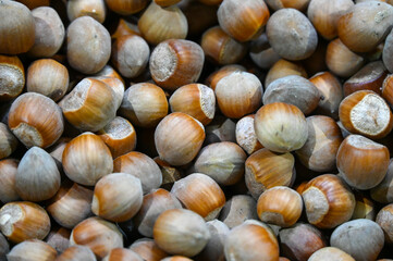 Hazelnuts for sale at the market.