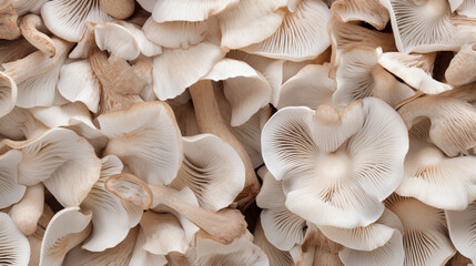 Oyster mushrooms on a dead beech trunk. Healthy food. Organic mushrooms. AI Generative - obrazy, fototapety, plakaty