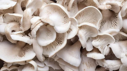 Foto op Aluminium Oyster mushrooms on a dead beech trunk. Healthy food. Organic mushrooms. AI Generative © Witri