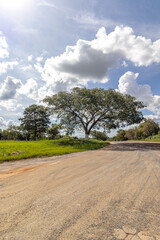 Fototapeta premium paisagem natural na cidade de Corumbá, região do Pantanal Sul, Estado do Mato Grosso do Sul, Brasil