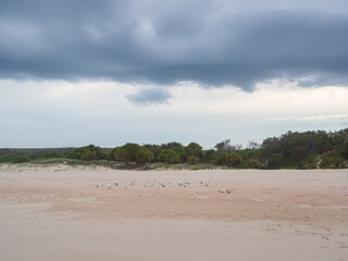 Storm Over The Beach