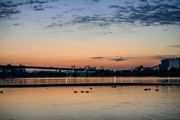 Obraz premium 朝日が昇りあたりはオレンジ色に染まる。兵庫県西宮市の香櫨園浜で撮影。