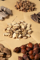 Ancient Chinese medicine and different herbal ingredients on table.