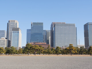 Fototapeta na wymiar 冬の皇居外苑　冬晴れの青空と東京丸の内のビル群