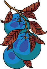 フルーツ（fruits）(PNG)