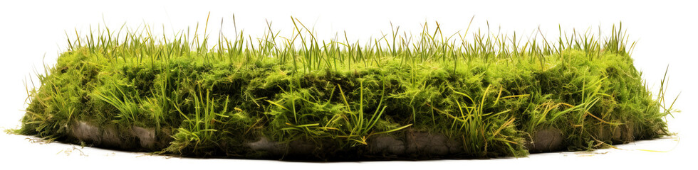 A small hill of green grass with a circular base isolated on transparent background. PNG 