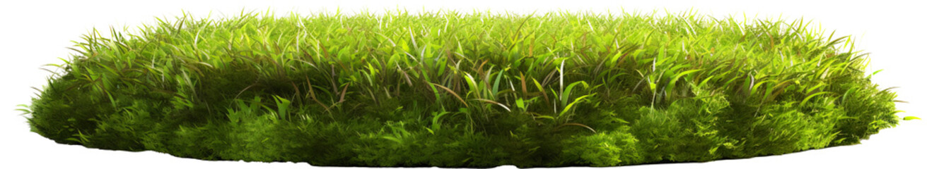 A small hill of green grass with a circular base isolated on transparent background. PNG 